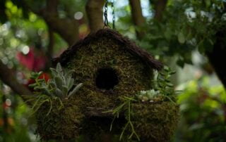 A mossy birdhouse hanging from a tree.
Keywords: key west wedding photographer