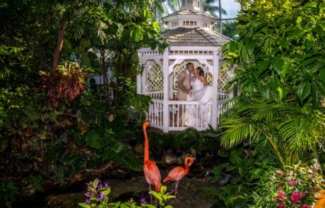 Butterfly Conservatory Key West
